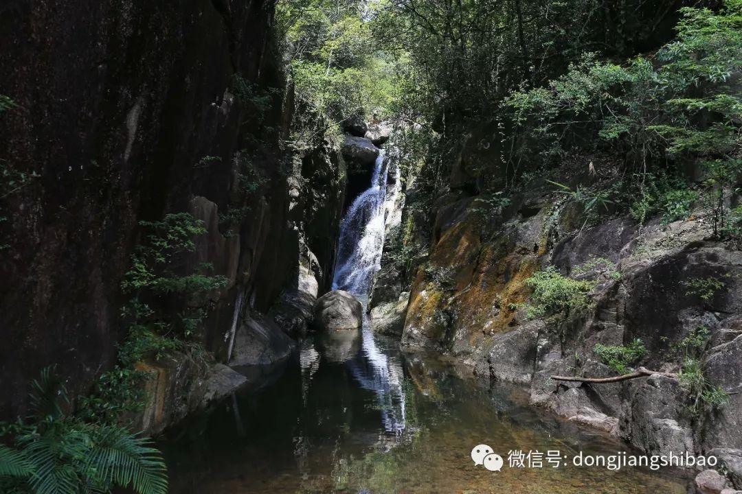 聚焦生化危机4佣兵模式怎么开启专业知识分享