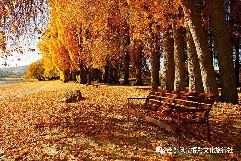 市领导走访慰问部队官兵
